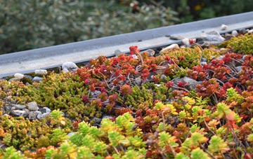 the cost of Low Lorton green roof installation