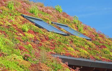 Low Lorton living roof systems