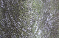 Low Lorton fibreglass roof work