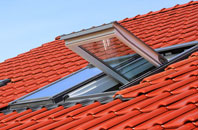 Low Lorton roof window