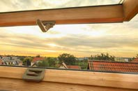 rated Low Lorton roof window companies